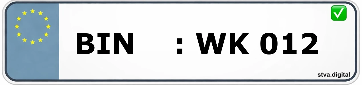 Kfz-Kennzeichen-Kürzel BIN – wird in Bingen am Rhein verwendet