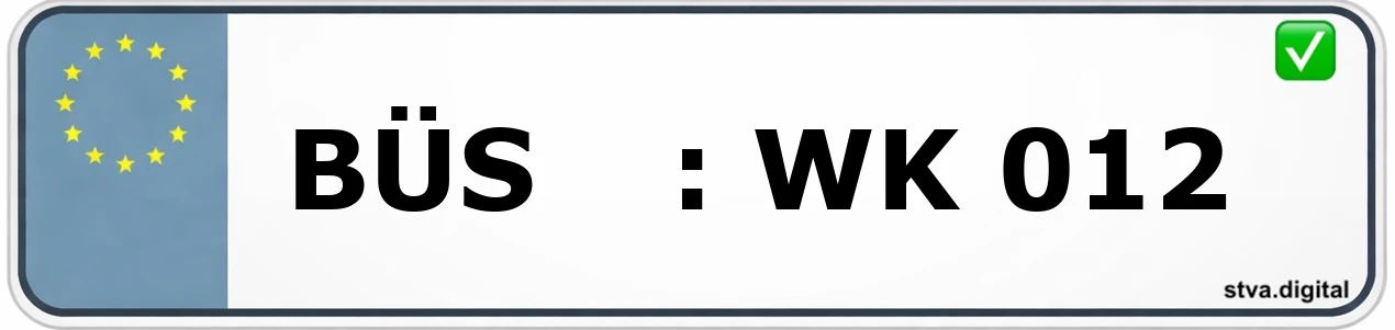 Kfz-Kennzeichen-Kürzel BÜS – wird in Singen verwendet